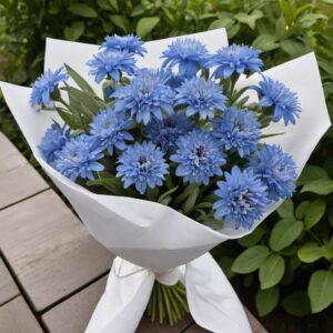 باقة الصفاء